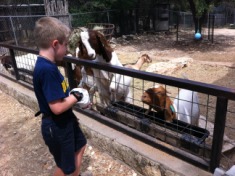 2012-04-09-18-Austin Zoo with Ian.jpg